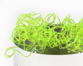 Wiggly Worms, Fluo Yellow